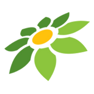 DG ML